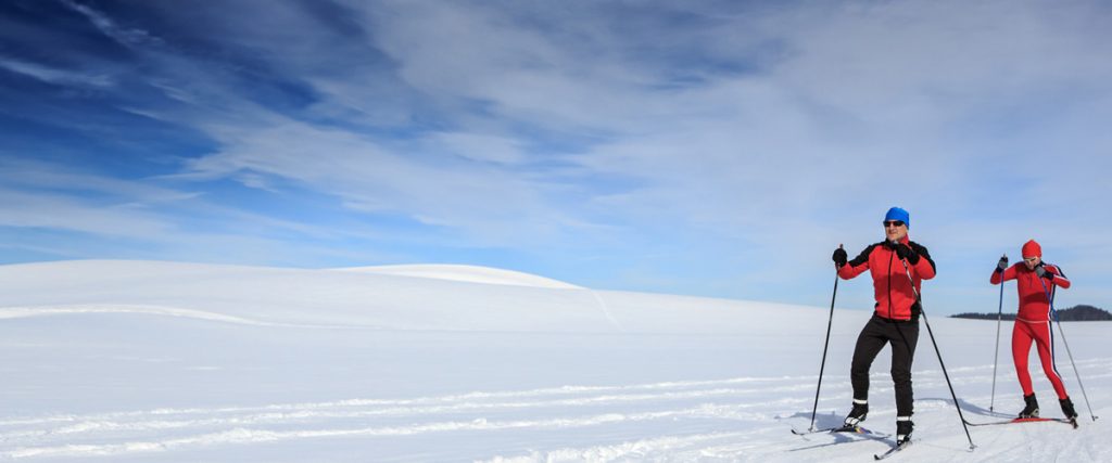 Snowshoeing - Cross Country Skiing - Down Hill Skiing